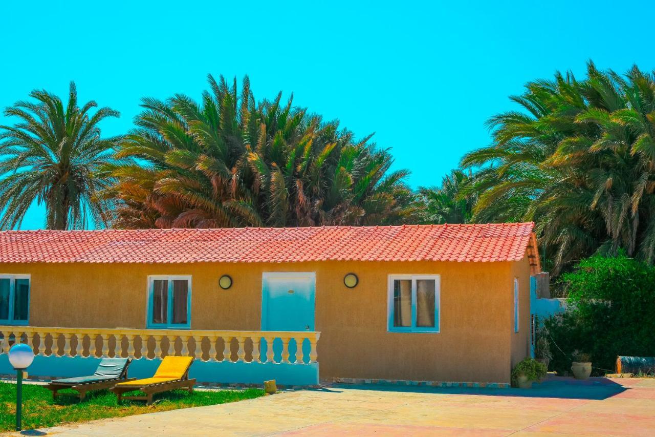Hotel Neptunia Skanes المنستير المظهر الخارجي الصورة